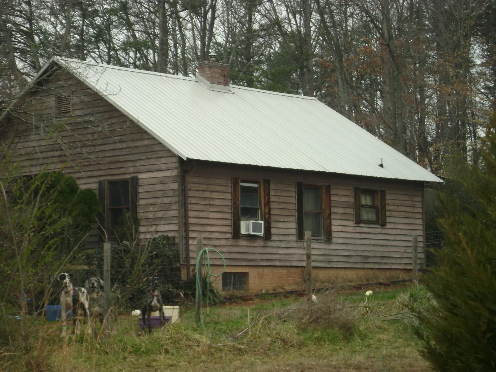 White metal roof on an old wood sided farmhouse, from a Asphalt Shingle Roof Repair job in Flemingsburg